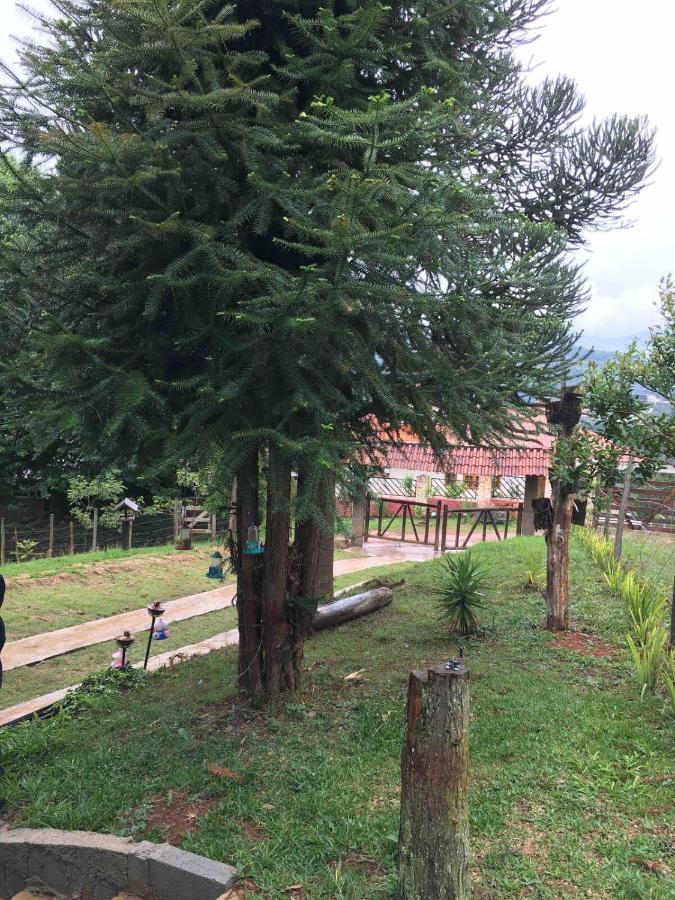 Casa De Campo Em Monte Verde , Linda Vista Para Montanhas מראה חיצוני תמונה